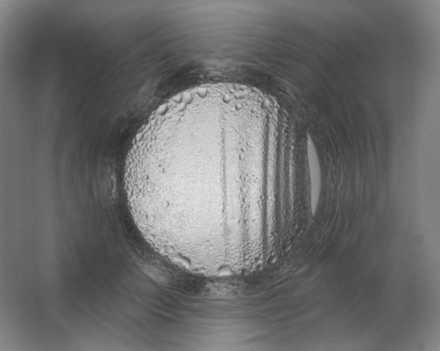 X0000063450703200602101648