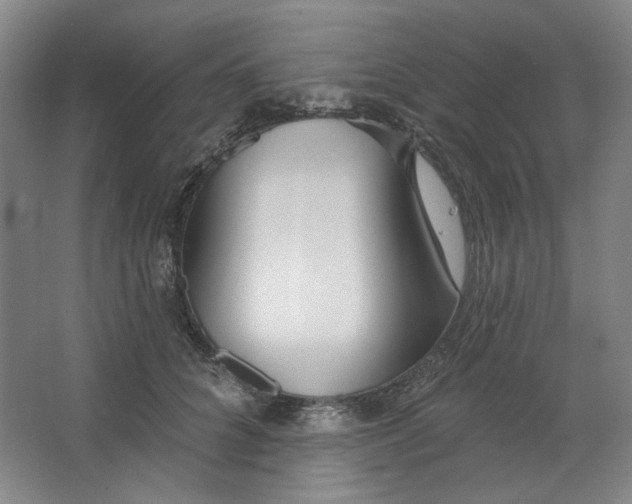 X0000063450704200602101648