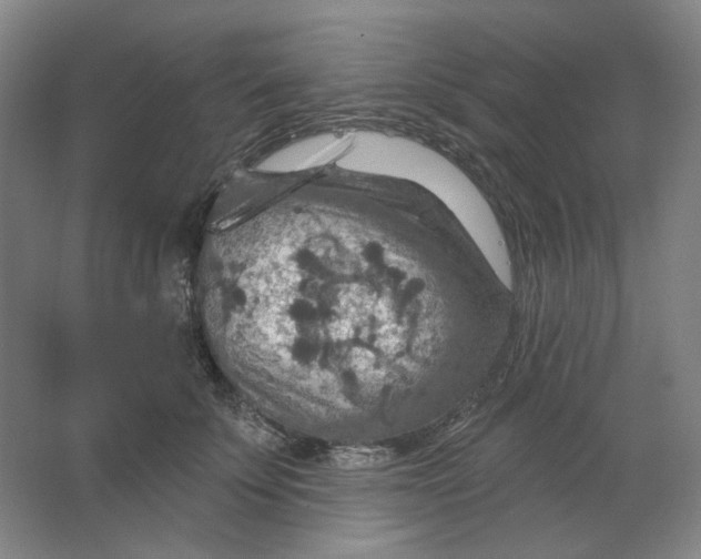 X0000063450707200602101648