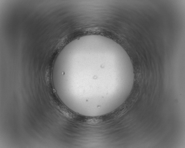 X0000063450708200602101648