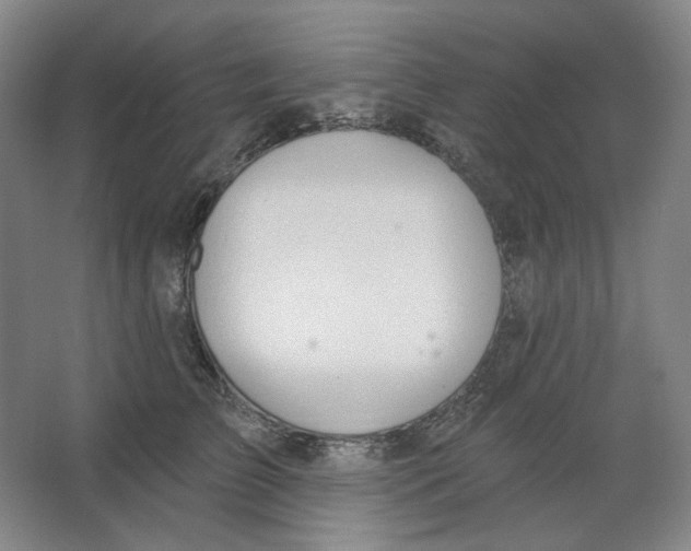 X0000063450709200602101648