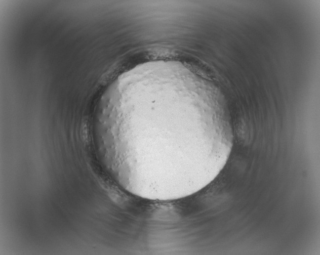 X0000063450715200602101648