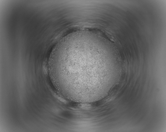 X0000063450719200602101648