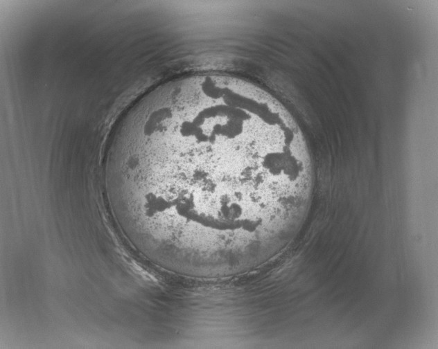 X0000063450721200602101647