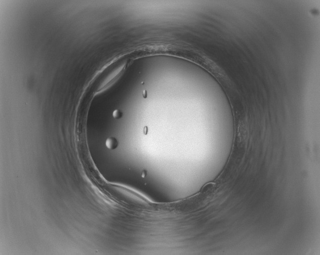 X0000063450722200602101647