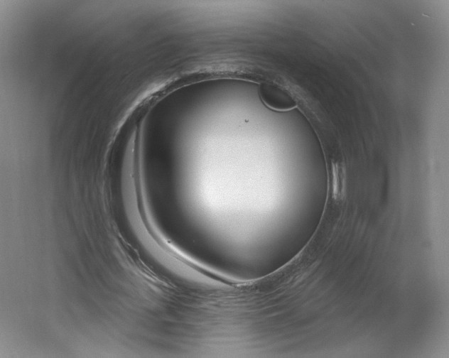 X0000063450723200602101647