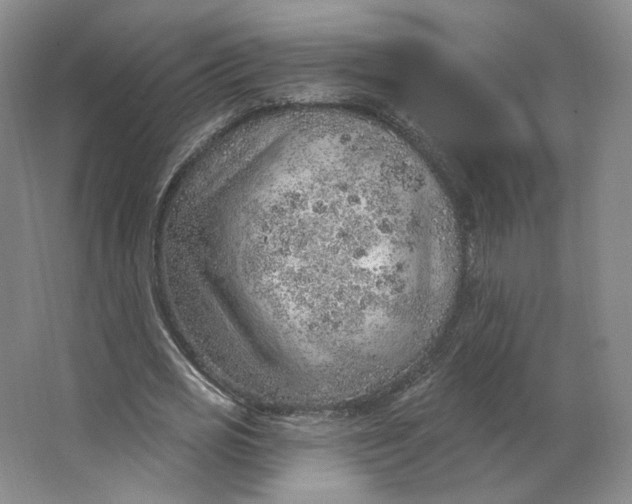 X0000063450725200602101647