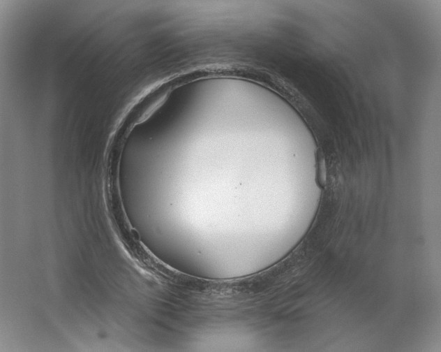 X0000063450728200602101647