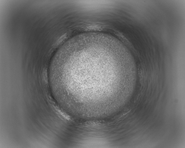 X0000063450729200602101647