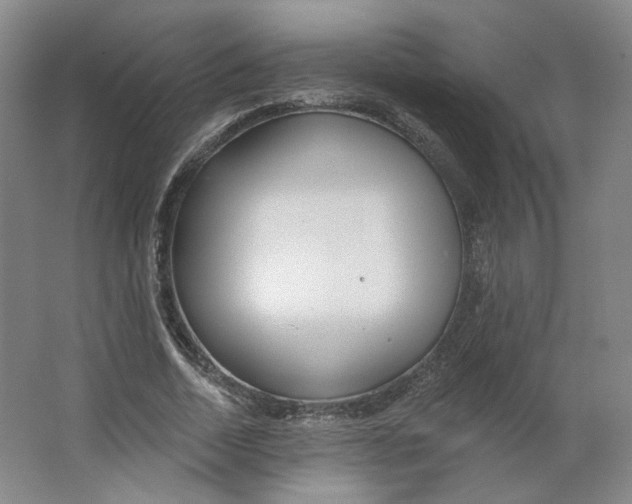 X0000063450730200602101648