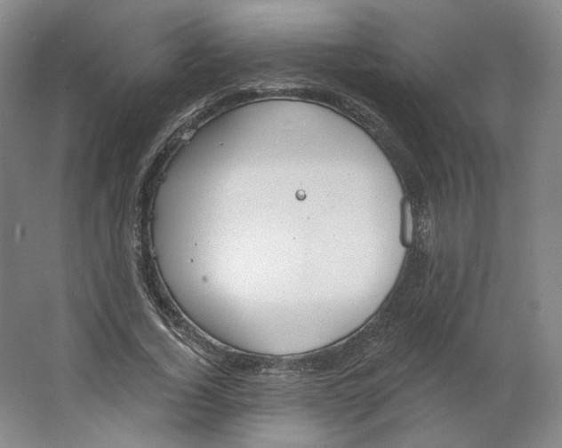 X0000063450732200602101648