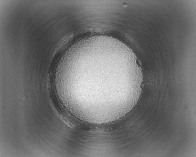 X0000063450738200602101648