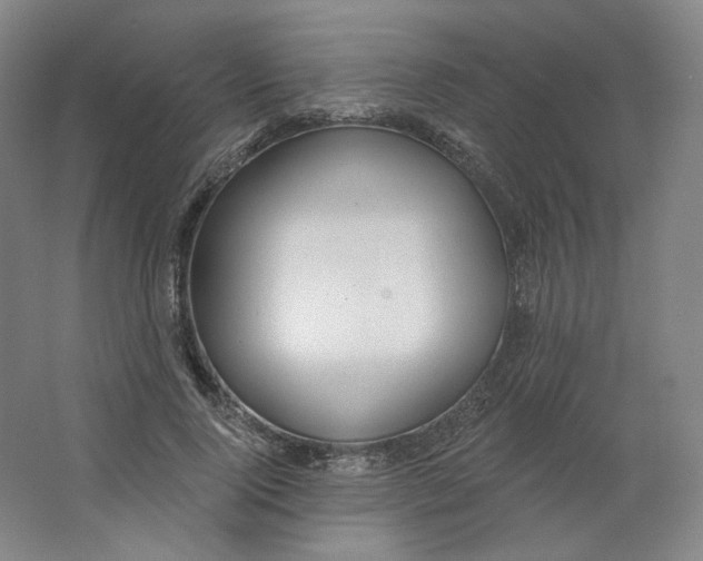 X0000063450740200602101648