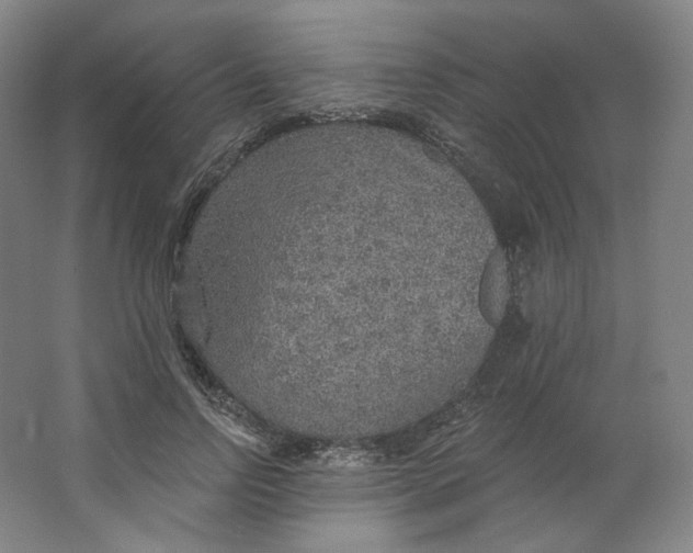 X0000063450742200602101648