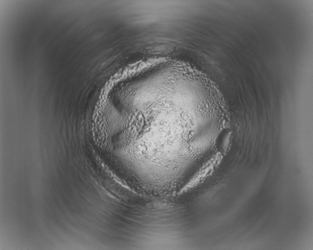 X0000063450745200602101648