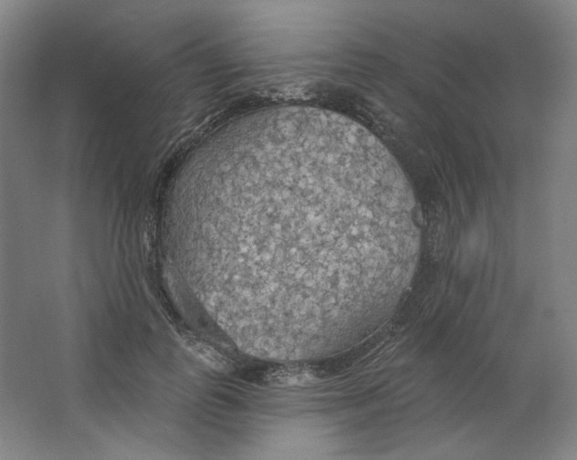 X0000063450747200602101648