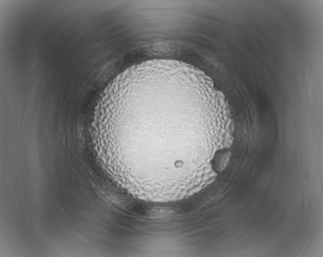 X0000063450749200602101648