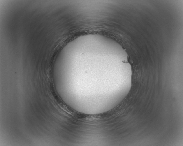 X0000063450756200602101648