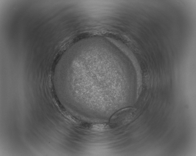 X0000063450757200602101648