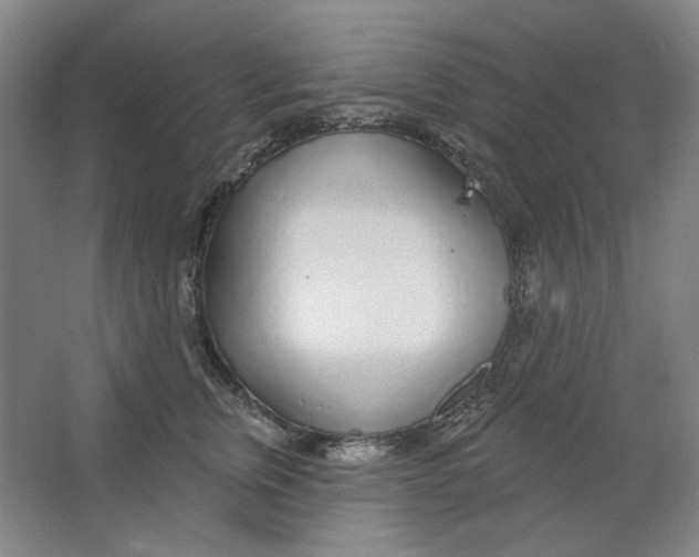 X0000063450759200602101648