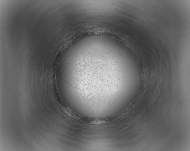 X0000063450760200602101648