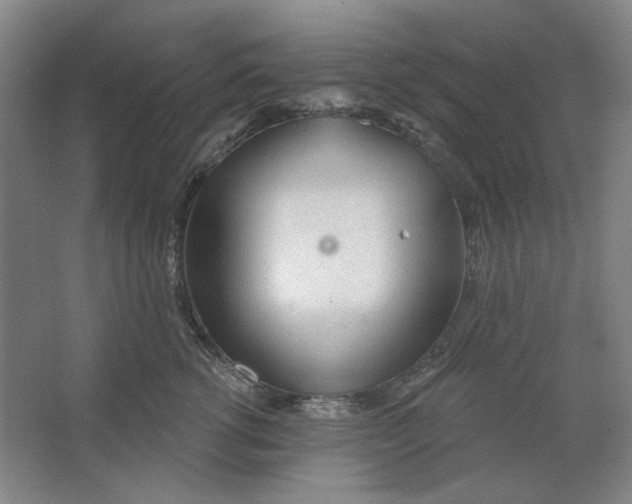 X0000063450762200602101648