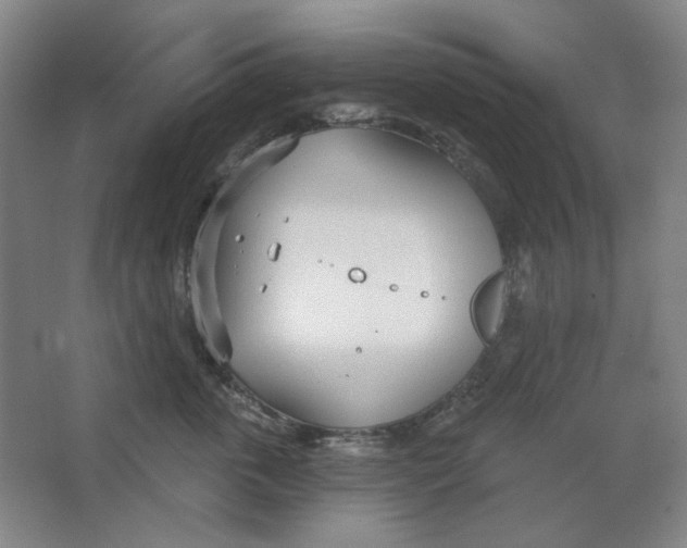 X0000063450763200602101648