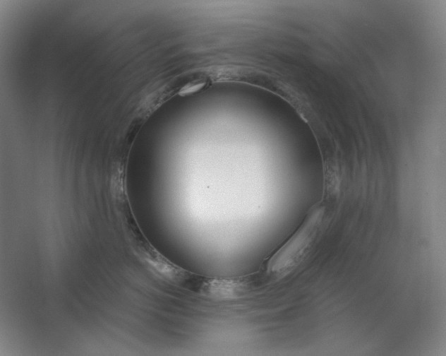 X0000063450766200602101648