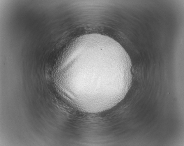 X0000063450770200602101647