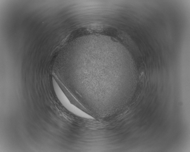 X0000063450772200602101647