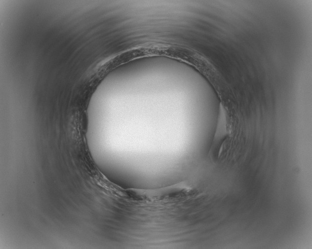 X0000063450773200602101647