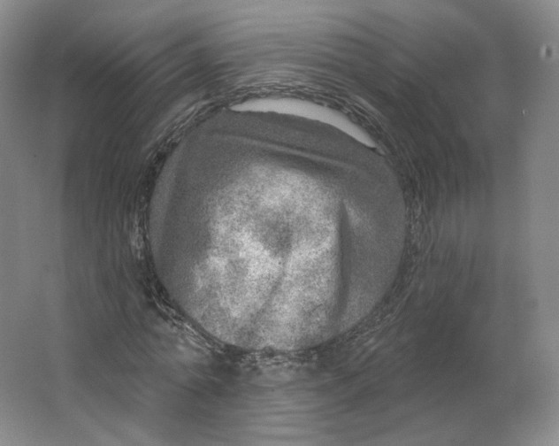 X0000063450774200602101647