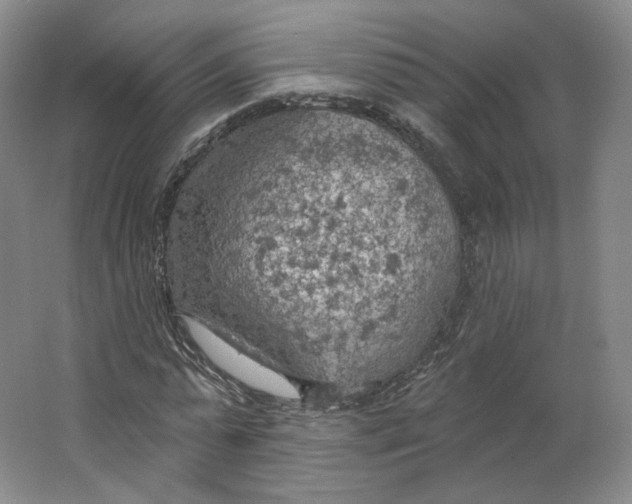 X0000063450775200602101647