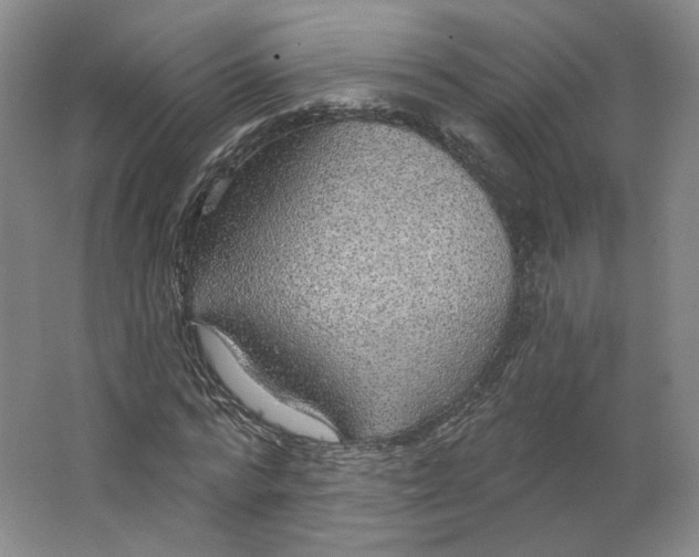 X0000063450776200602101647