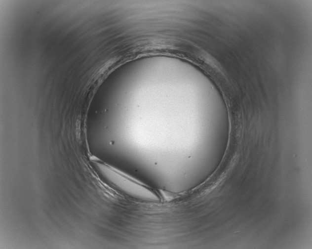 X0000063450777200602101647