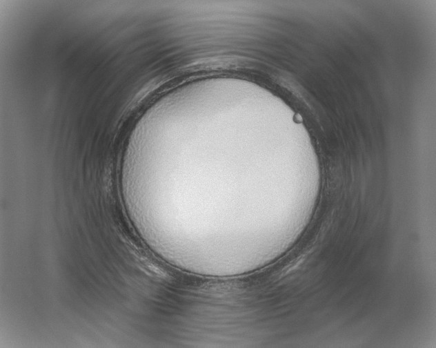 X0000063450778200602101647