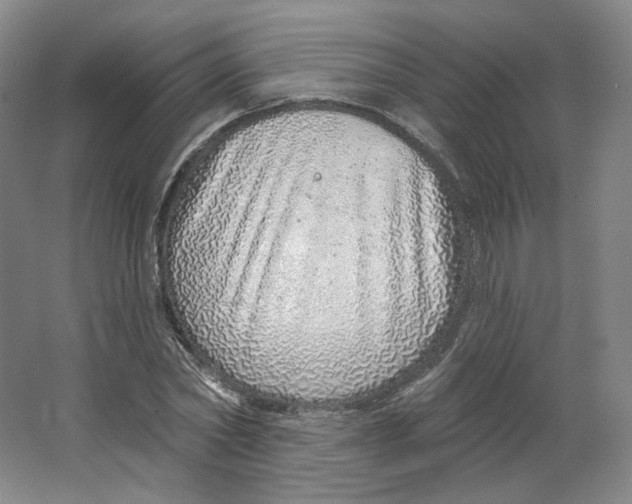 X0000063450782200602101647