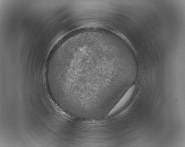 X0000063450783200602101647