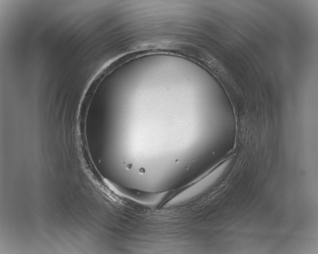 X0000063450784200602101647