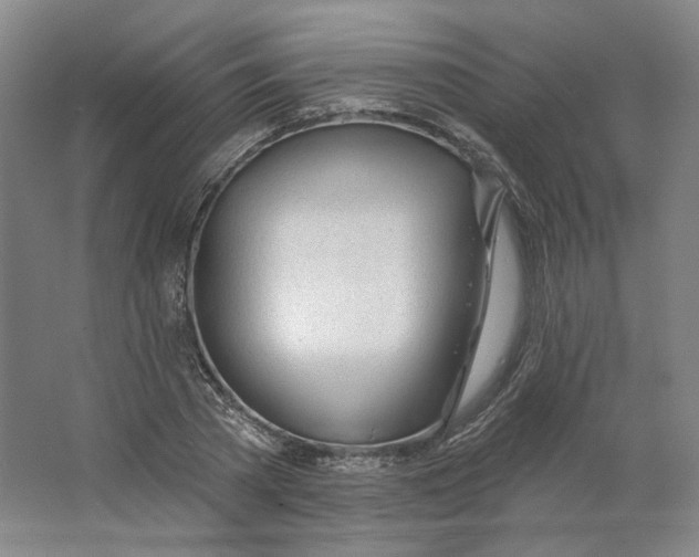 X0000063450785200602101647