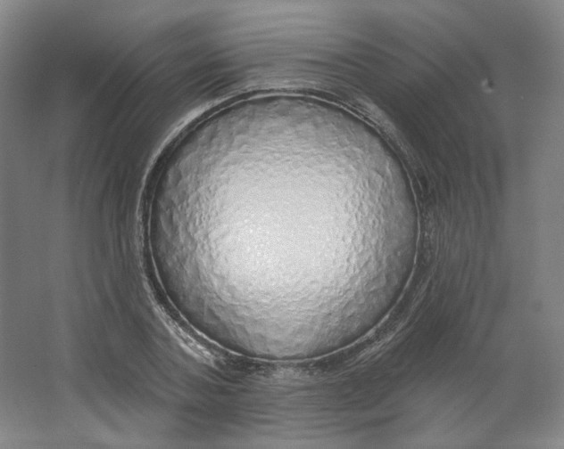 X0000063450787200602101647