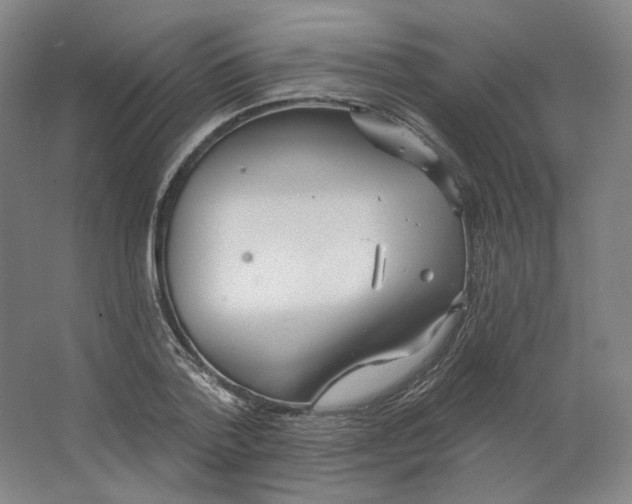 X0000063450788200602101647