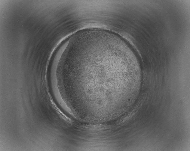 X0000063450791200602101647