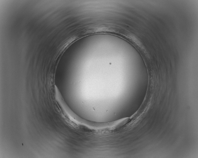 X0000063450793200602101647