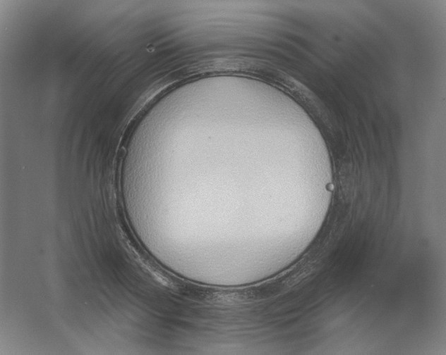 X0000063450794200602101647