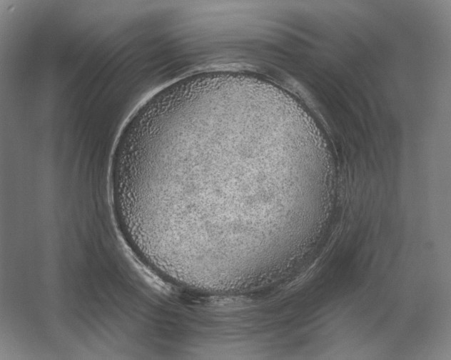 X0000063450795200602101647