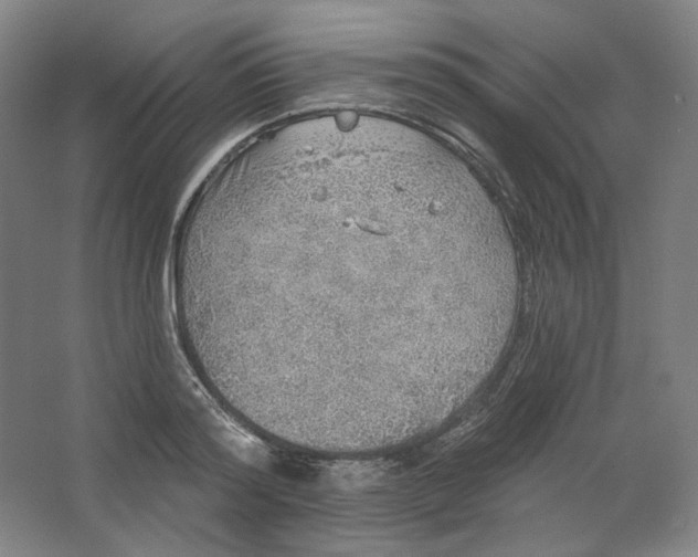 X0000063450796200602101647