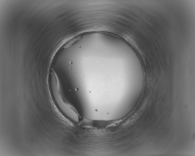 X0000063450797200602101647