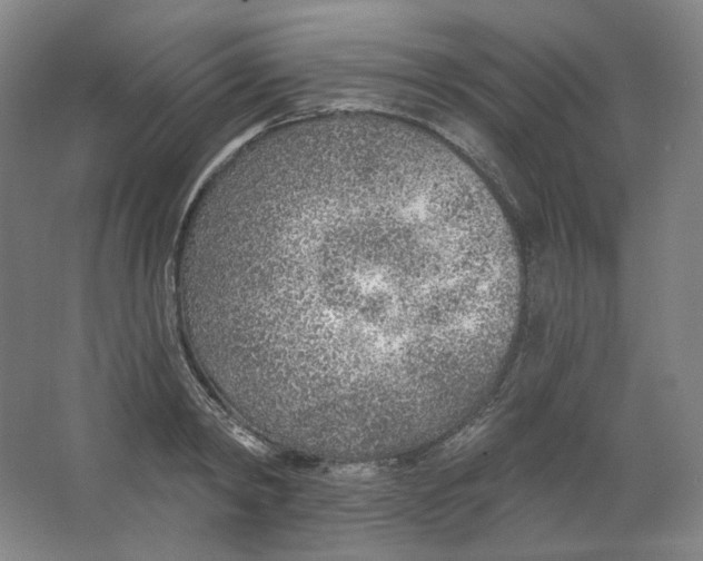 X0000063450798200602101647