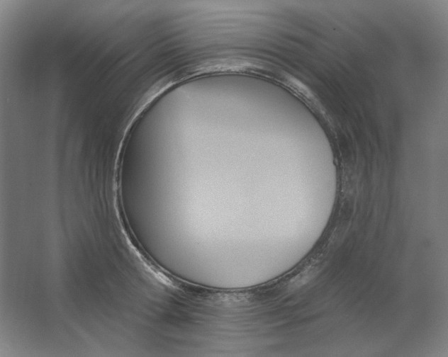 X0000063450802200602101647